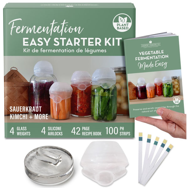 vegetable fermentation kit